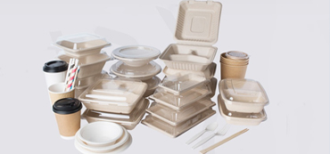 Disposable Packaging